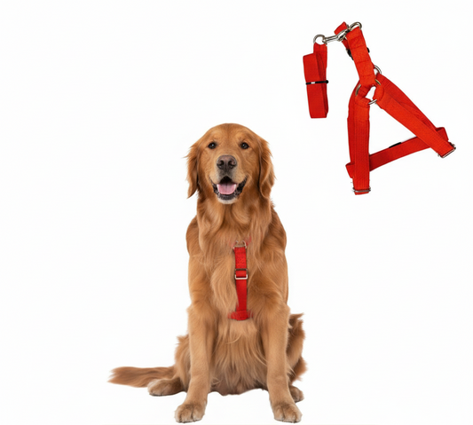 Arnés Grande Naylón