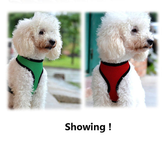 Set de Arnés de Tela Transpirable con Correa para Perros