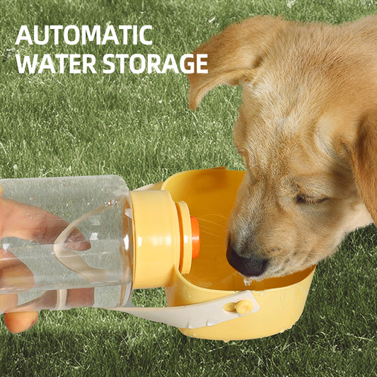 Botella de Agua para Paseo 550ml