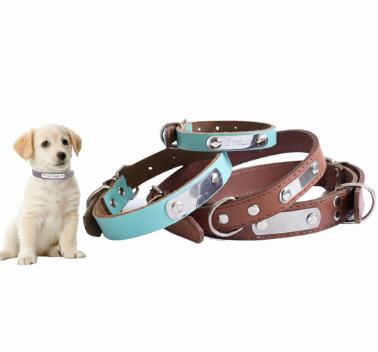 Collar de Cuerina para Grabar